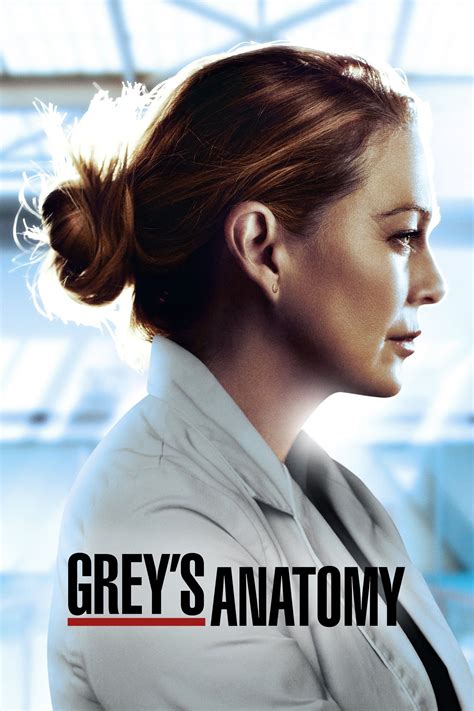 grey's anatomy torrentz
